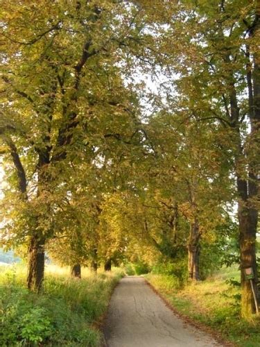 počasí dnes kroměříž|Aktuální počasí Kroměříž